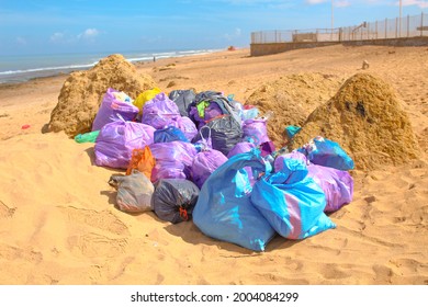 Beach Cleanliness, Garbage Collection From The Sea