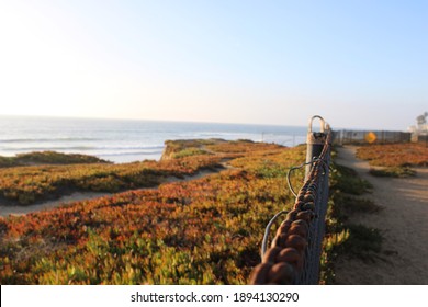 Beach Cliffs At Carlsbad Beach