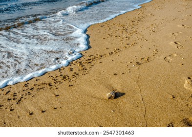 Camaçari Beach, coast of the North Coast of Bahia, shells and reef debris, pebbles, Brazilian coast, Atlantic Ocean, Brazil - Powered by Shutterstock