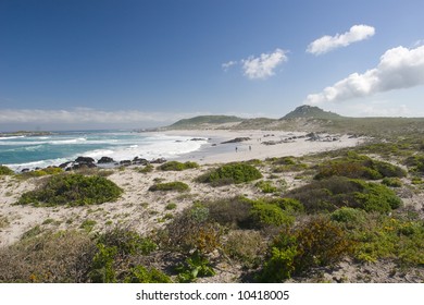 The Beach And Coastline At Posberg South Africa