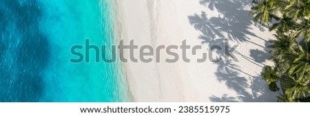 Beach coconut palm trees on exotic shore birds eye view. Turquoise sea waves white sand aerial photography. Panoramic ecology nature background. Tropical paradise travel landscape exotic destination