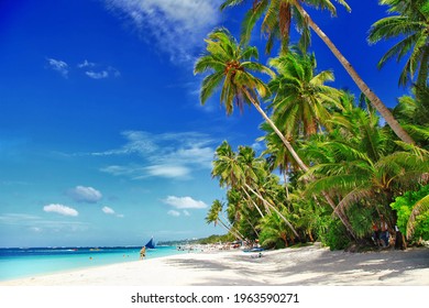 Beach With Coconut Tree Background HD