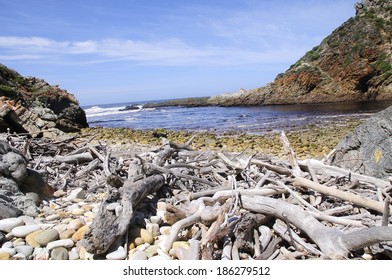 Beach Covered In Driftwood And Sea Stones On The Otter Hiking Trail