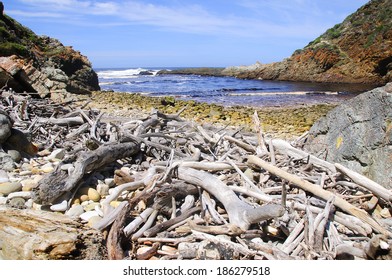 Beach Covered In Driftwood And Sea Stones On The Otter Hiking Trail