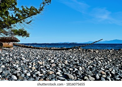 beach covered in rocks with fallen tree at low angle view,  blue sky and blue ocean water, coastal landscape