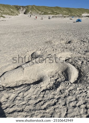 Similar – Zurück ins Wasser Strand