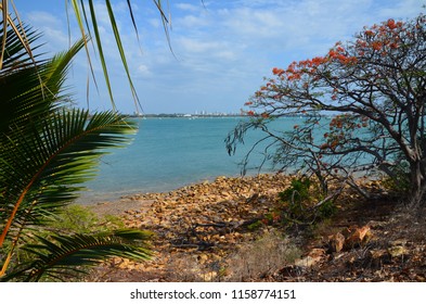 Beach At Darwin