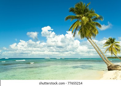 Beach In Dominican Republic