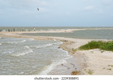 Beach drift on Gulf of Mexico coastline. Seabirds in the surf zone - Shutterstock ID 2239308891