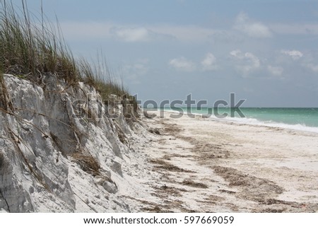 Beach dune