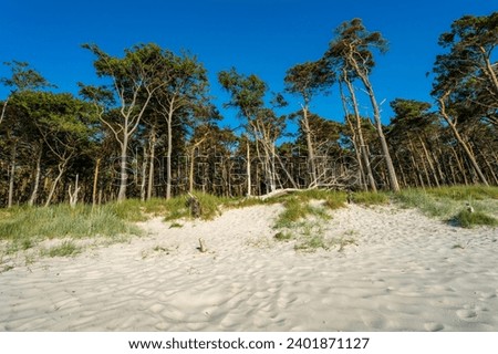 Similar – Beach at the Polish Baltic Sea coast