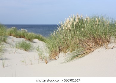 Beach And Dune Grass.