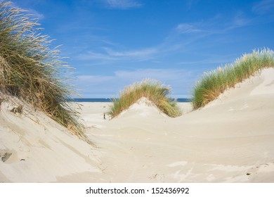 Beach And Dunes With Beachgrass