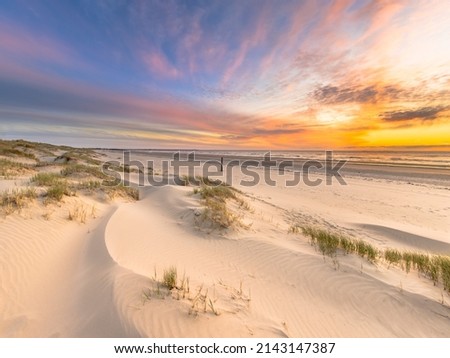 Beach and dunes Dutch coastline landscape seen from Wijk aan Zee over the North Sea at sunset, Netherlands