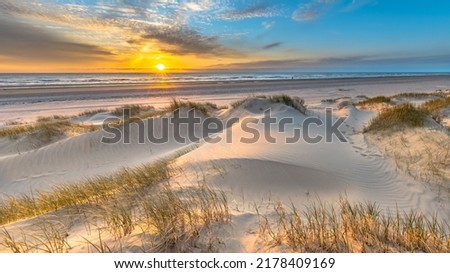 Beach and dunes Dutch coastline landscape seen from Wijk aan Zee over the North Sea at sunset, Netherlands