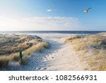 Beach, dunes and north sea
