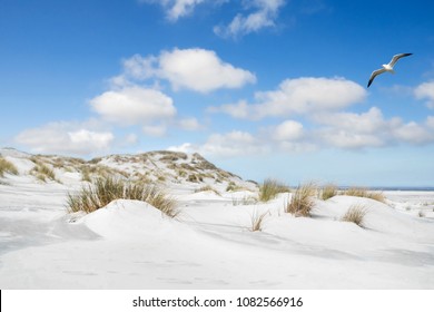 Beach, Dunes And North Sea