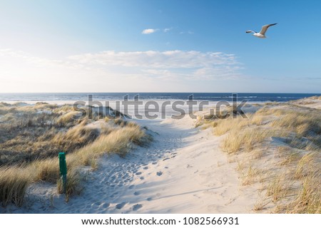 Beach, dunes and north sea