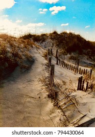 Beach Dunes - Outer Banks, North Carolina