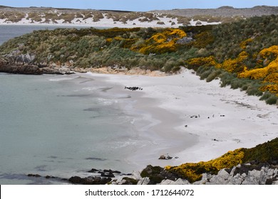 A Beach In East Falkland