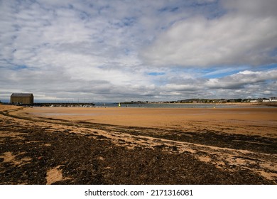 The Beach At Elie, Fife