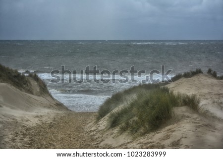 Skagen Küste Ostsee Meer