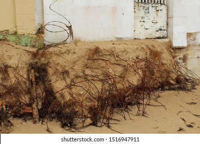 Beach Erosion Along Ocean Park Beach In San Juan Puerto Rico After Hurricane María