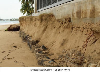 Beach Erosion Along Ocean Park Beach In San Juan Puerto Rico After Hurricane María