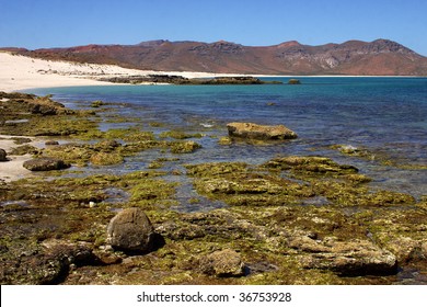 Beach In The Espiritu Santo Island In Baja, Mexico