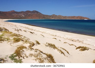 Beach In The Espiritu Santo Island In Baja, Mexico