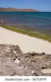 Beach In The Espiritu Santo Island In Baja, Mexico