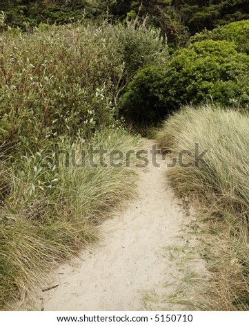Beach foot path trail leading into the hills beyond in one point perspective