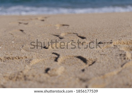 beach footprint sand pov sea