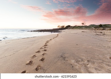 Beach Footprints Leading into a Pink Sunrise - Powered by Shutterstock