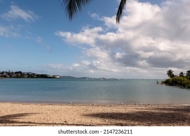 A Beach Foreshore With Seagulls On The Waterline And Yachts On The Horizon Of A Tropical Tourist Resort Village In The Whitsundays Australia.
