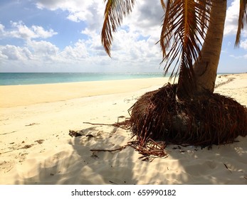 Beach In Freeport, Grand Bahama, Bahamas