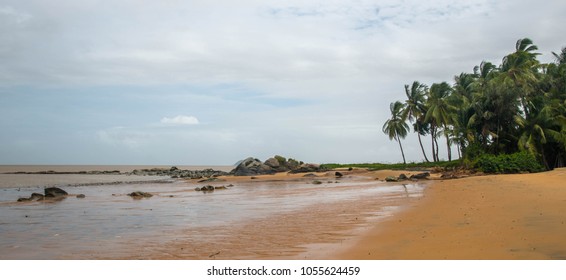 Beach In French Guiana 