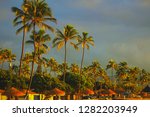 Beach front cabanas with palm trees in Ewa Beach Oahu Hawaii