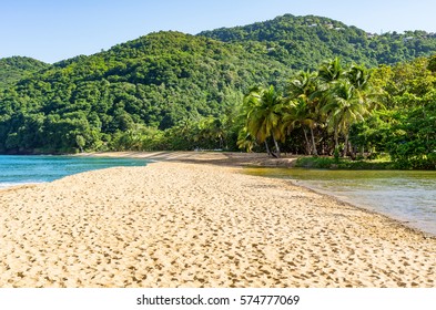 Beach Grande Anse, Deschaies, Guadeloupe, Caribbean 