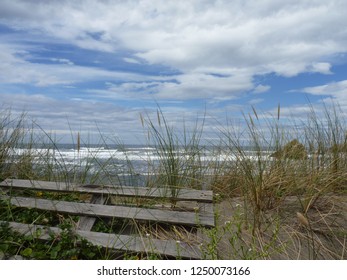beach with grass