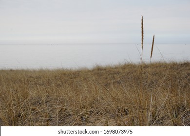 Beach grass on sand dune over looking Lake Michigan