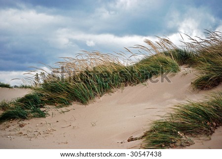 Similar – Image, Stock Photo Dune grass blowing in the wind on the sandy beach