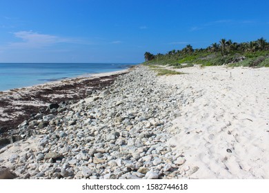 Beach - Green sea turtle sanctuary, Xcacel, Riviera Maya, Quintana Roo, Yucatan, Mexico.