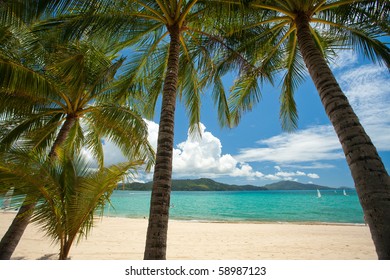 Beach At Hamilton Island