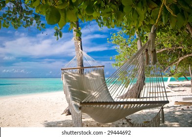 Beach Hammock Under Palm Trees