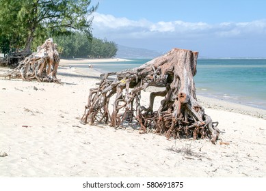 Plage Ile De La Reunion Hd Stock Images Shutterstock