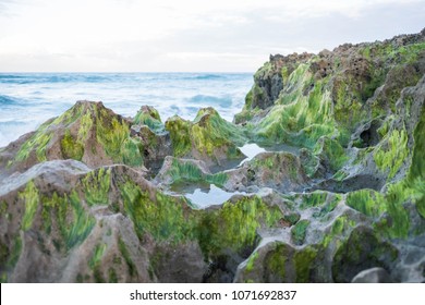 Beach At House Of Refuge In Stuart, FL