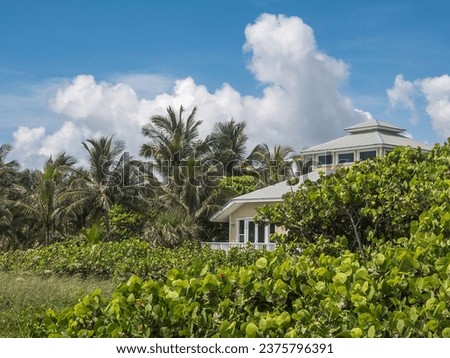 Beach house in seclusion, partly hidden by large stand of seagrape (binomial name: Coccoloba uvifera), on a barrier island along the Atlantic Coast on a sunny summer day in eastern Florida