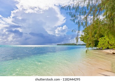 Beach Impression Of Carp Island At Palau