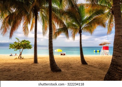 Beach In Jamaica With Tall Palm Tree On Caribbean Sea